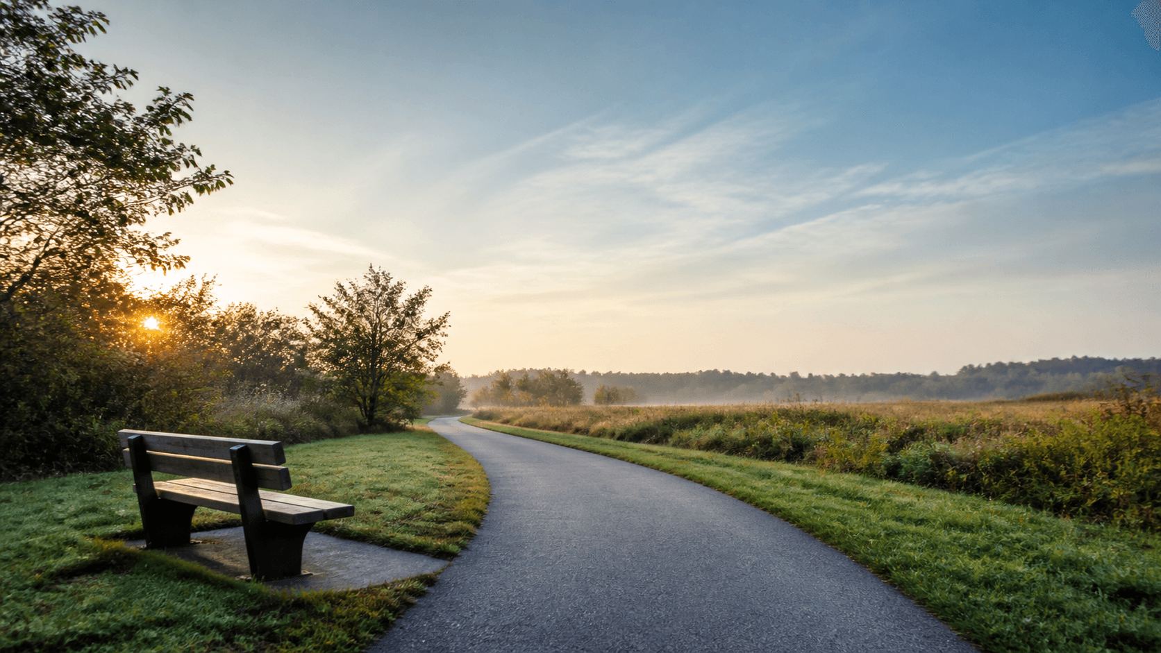 Quiet outdoor path leading forward past a simple bench in soft morning light